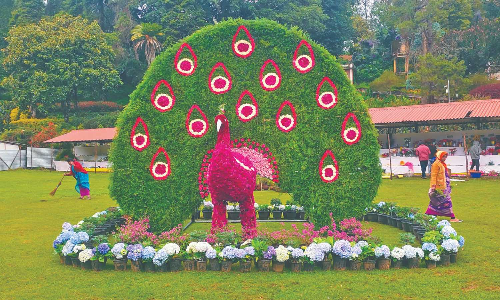 62nd Kodai flower show off to grand start as cool climes pull in more tourists