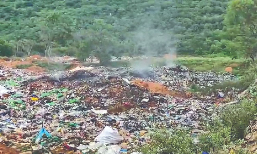 Declare areas around Marudhamalai Hills zero-plastic zone: Activists