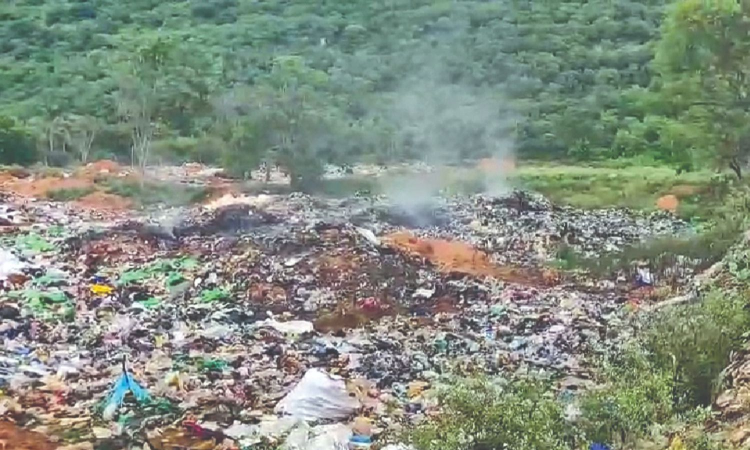 Declare areas around Marudhamalai Hills zero-plastic zone: Activists
