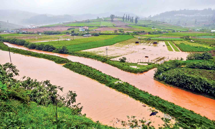 Nilgiris receives 94 cm rainfall in 4 days, TN to get more rains