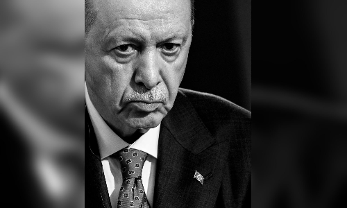 Erdogan might have finally gone too far