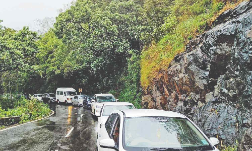 Tree fall disrupts traffic on Gudalur-Ooty NH