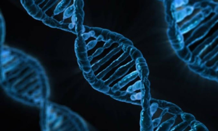 TN to open genetic disorder centres in Coimbatore, Madurai