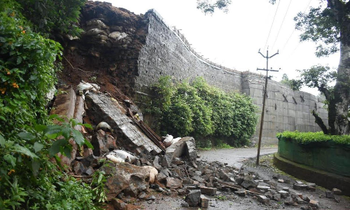 Tree fall suspends water, power supply in the Nilgiris