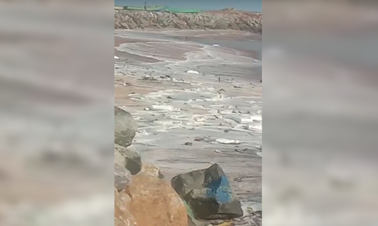 Washed ashore parcels found in Kanniyakumari after oil spills from cargo ship 