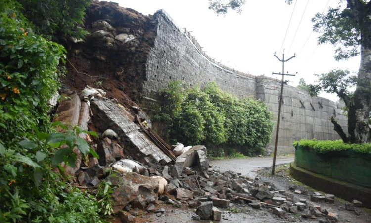 Tree fall suspends water, power supply in the Nilgiris