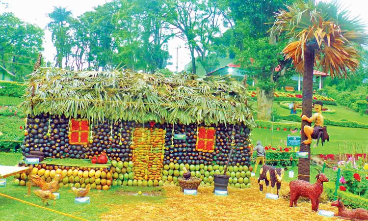 First crop show in Coonoor gives glimpse into rural life First crop show in Coonoor gives glimpse into rural life