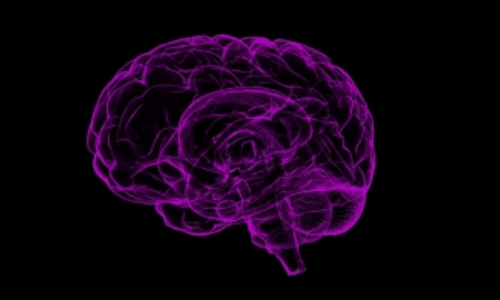 Study finds lead exposure may impair childrens memory retention