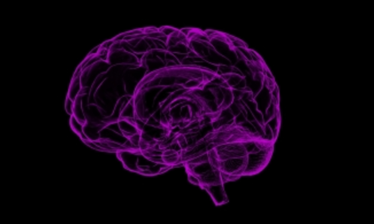 Study finds lead exposure may impair childrens memory retention