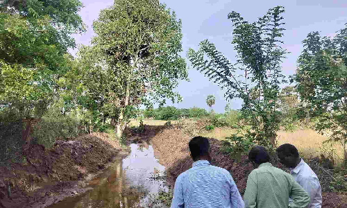 All is well if desilt works are done as per RSR: Tamil Nadu Delta farmers