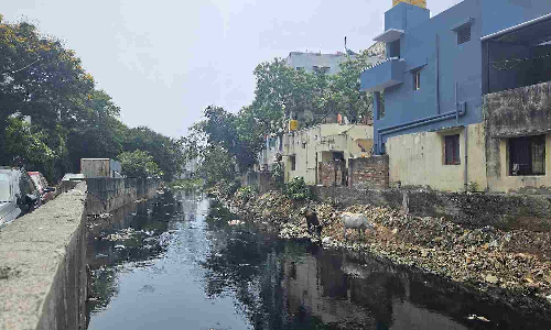Otteri canal chokes with garbage, sewage, silt Otteri canal chokes with garbage, sewage, silt