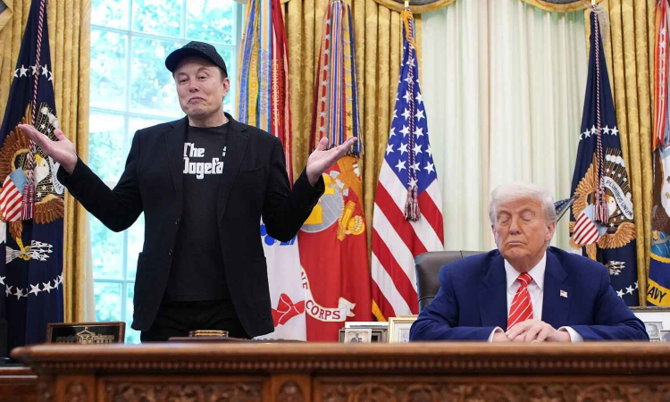 Slings and arrows: Dons tech bro, donning DOGE cap, had to go