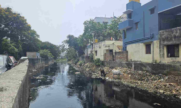 Otteri canal chokes with garbage, sewage, silt