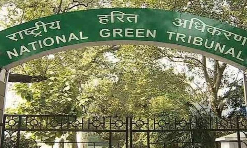 NGT questions horticulture park on Madras Race Club land