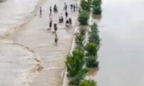 Arappor seeks probe into Tiruvannamalai bridge collapse