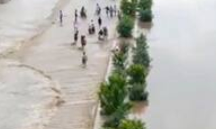 Arappor seeks probe into Tiruvannamalai bridge collapse