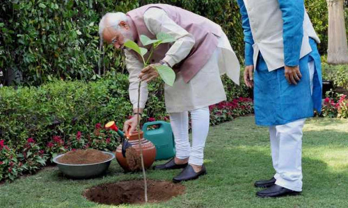 On World Environment Day, PM Modi plants sindoor sapling at residence On World Environment Day, PM Modi plants sindoor sapling at residence