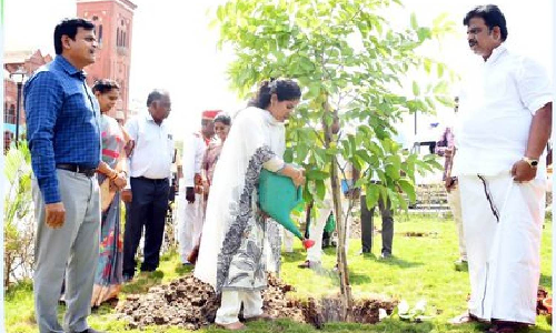 Chennai Mayor Priya launches Thooimai Mission, drive to plant 1 lakh native tree saplings Chennai Mayor Priya launches Thooimai Mission, drive to plant 1 lakh native tree saplings