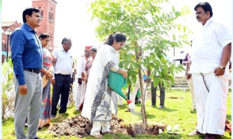 Chennai Mayor Priya launches Thooimai Mission, drive to plant 1 lakh native tree saplings