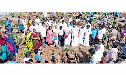 Mass plantation, awareness rally mark Environment Day Mass plantation, awareness rally mark Environment Day