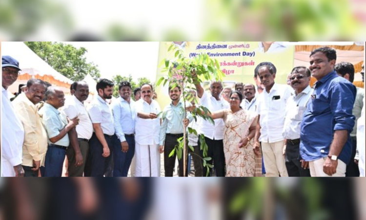 Coimbatore to turn greener with 25,000 trees soon Coimbatore to turn greener with 25,000 trees soon