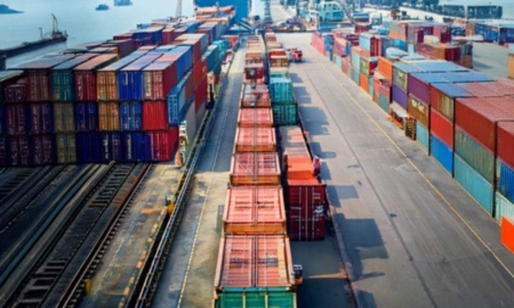 Govt imposes anti-dumping duties on vitamin A, rubber chemical imports from China, Japan, EU Govt imposes anti-dumping duties on vitamin A, rubber chemical imports from China, Japan, EU