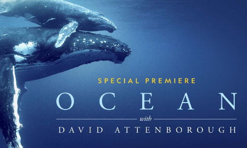 Ocean is David Attenboroughs greatest, most personal account yet: team behind Nat Geo documentary