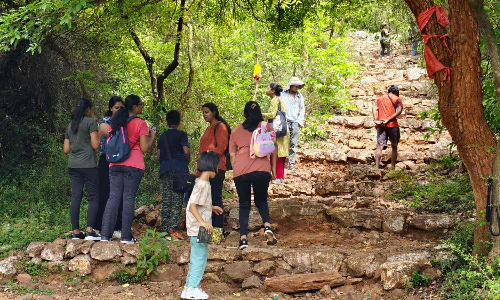 Winged explorations: Butterfly walk in Pachamalai Hills