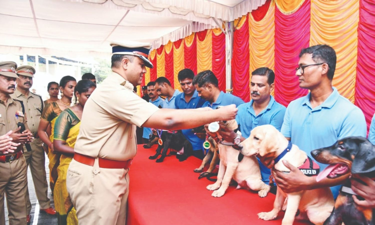 Chennai police induct 11 puppies into dog squad Chennai police induct 11 puppies into dog squad