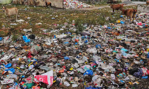 Burnt waste worse than coal plant emissions