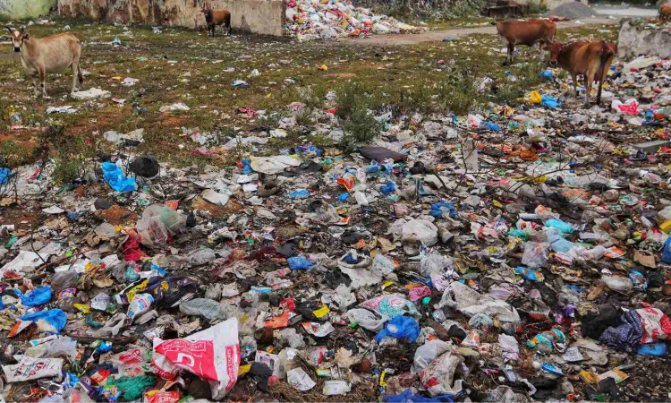 Burnt waste worse than coal plant emissions