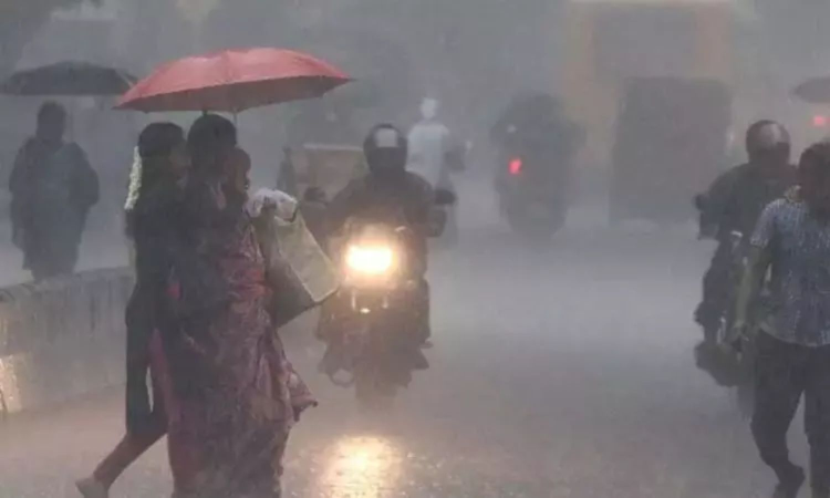 NDRF deployed as heavy rain continues in Nilgiris, Coimbatore
