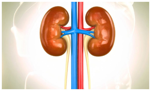 Prior Covid vaccination proved beneficial for acute kidney injury patients: Study