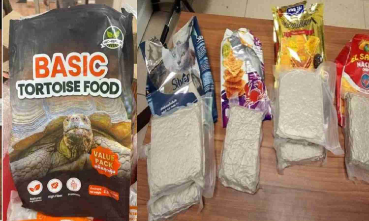 Over 6 kg of hydroponic ganja worth Rs 6.2 crore seized at Chennai airport