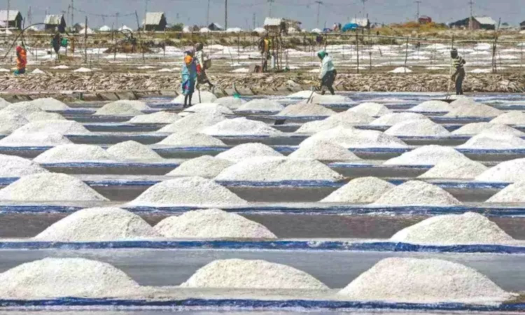 Salt from Gujarat to offset declining stocks in Thoothukudi Salt from Gujarat to offset declining stocks in Thoothukudi