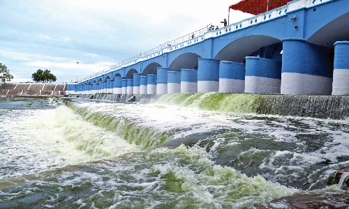 Tamil Nadu: Delta farmers begin new cultivation season with high hopes