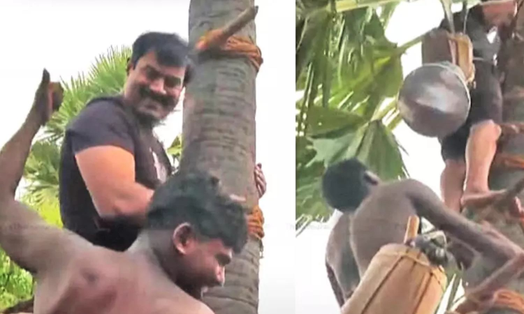 Toddy or Neera? Thoothukudi cops probe Seemans palm climbing protest