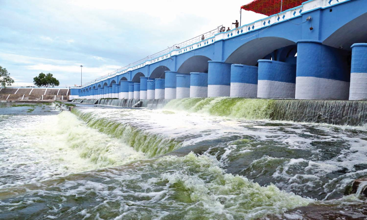 Tamil Nadu: Delta farmers begin new cultivation season with high hopes