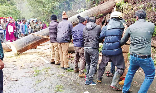 Several tourist spots shut as rains batter the Nilgiris