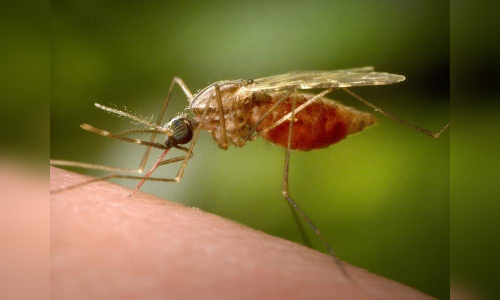 Urgent action, solidarity needed in fight against malaria in Asia-Pacific