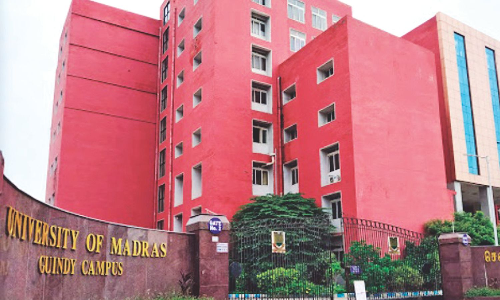 Dead lizard in snack packet shocks participants at Madras university event