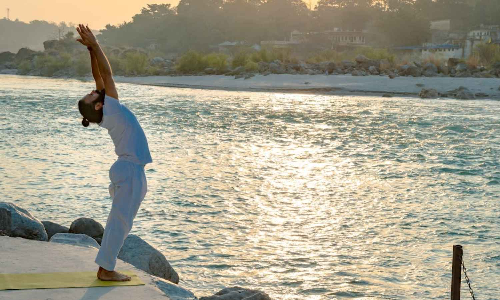 Yoga Day 2025 Special: Celebs, citizens and experts across Tamil Nadu share what yoga means to them Yoga Day 2025 Special: Celebs, citizens and experts across Tamil Nadu share what yoga means to them