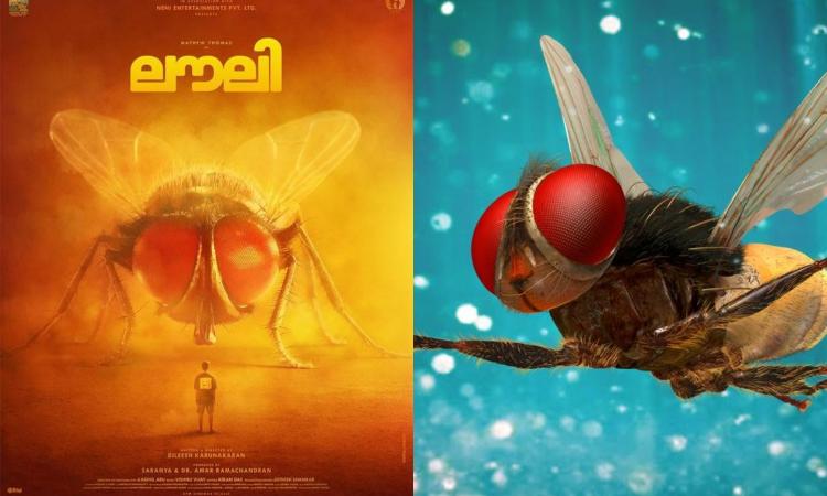 Eega makers issue copyright notice to Malayalam film Lovely over housefly CGI design