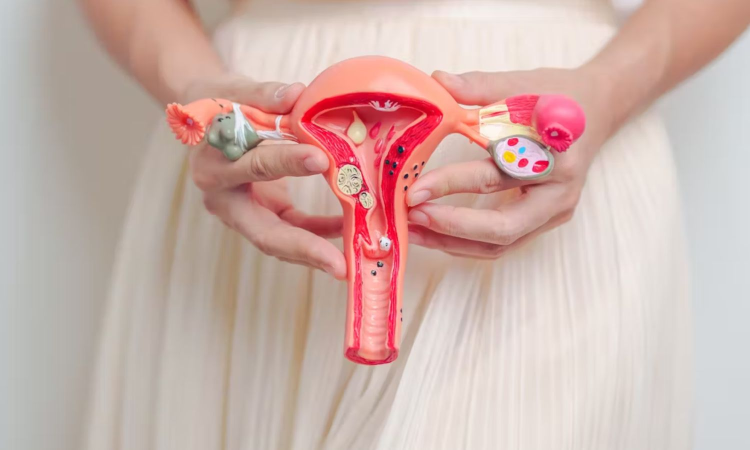 Language matters:  Why we need to make term ‘hysterectomy history