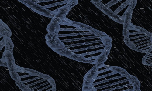 Study shows gene therapy can provide lasting, durable treatment for HIV Study shows gene therapy can provide lasting, durable treatment for HIV