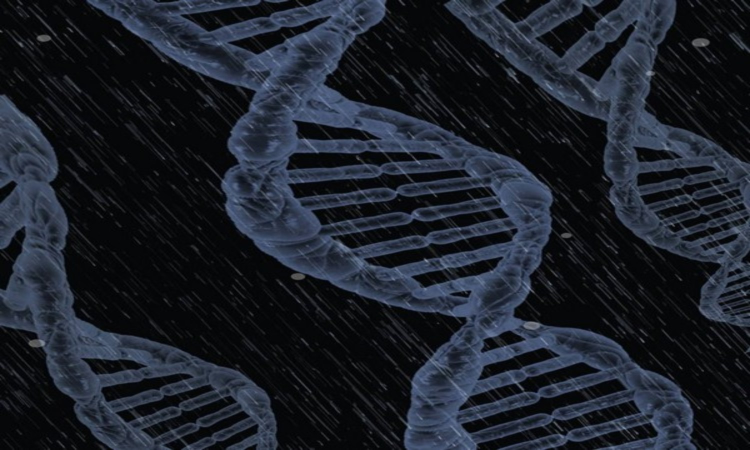 Study shows gene therapy can provide lasting, durable treatment for HIV Study shows gene therapy can provide lasting, durable treatment for HIV