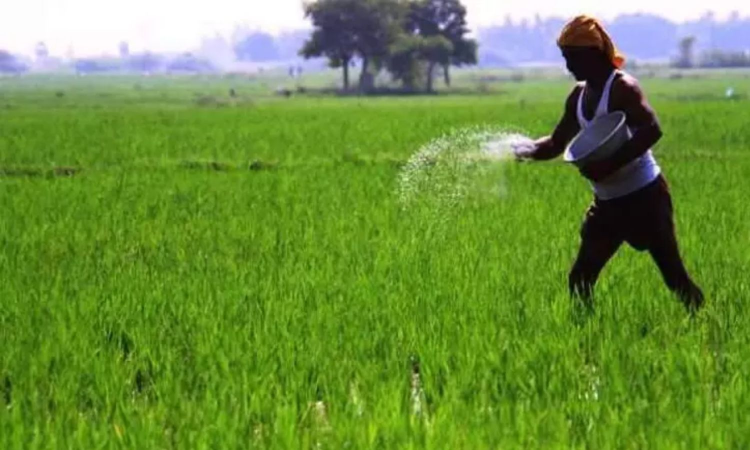 Major fake fertiliser bust in Thanjavur, 15 tonne ‘clay’ imitating popular DAP seized
