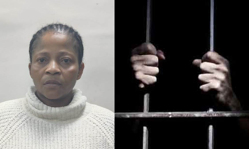 Cocaine ring: Nigerian woman arrested by Chennai Police