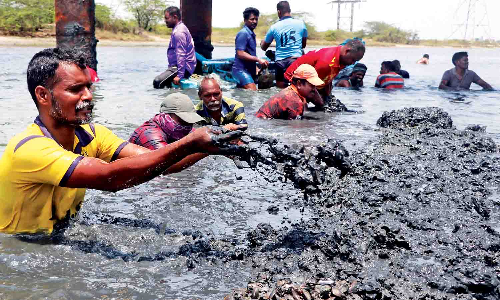 Tamil Nadu to incentivise Kakka Aazhi harvesting to curb alien species