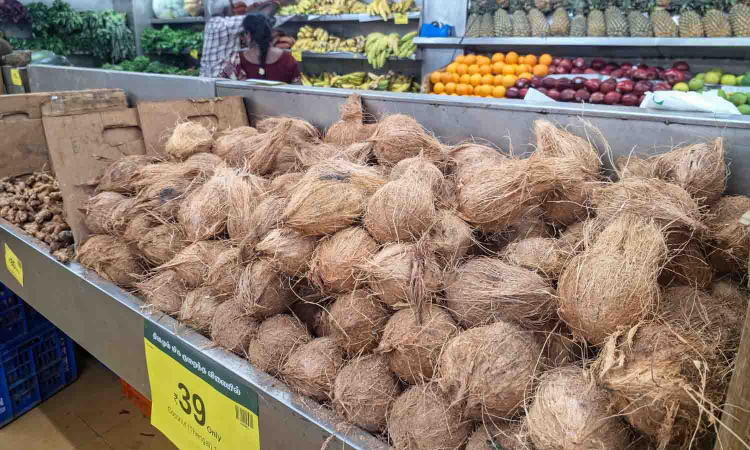 Chennai: Coconuts touch unreachable rates as supply dips